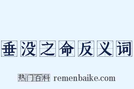 垂没之命反义词是什么意思的图片